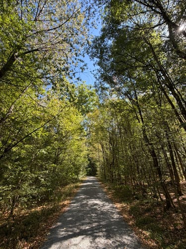 Rund um das Steinbachtal