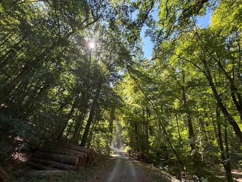 Rund um das Steinbachtal