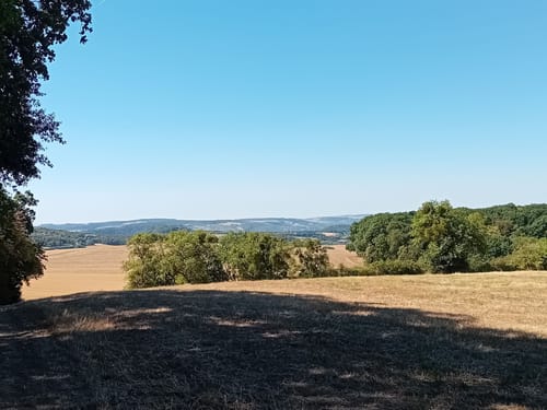 Eine Spur Näher (Trierweiler Nr. 7)