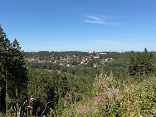 Liebesbankweg (Premiumwanderweg)