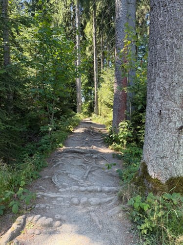 Liebesbankweg (Premiumwanderweg)