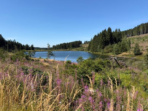 Liebesbankweg (Premiumwanderweg)