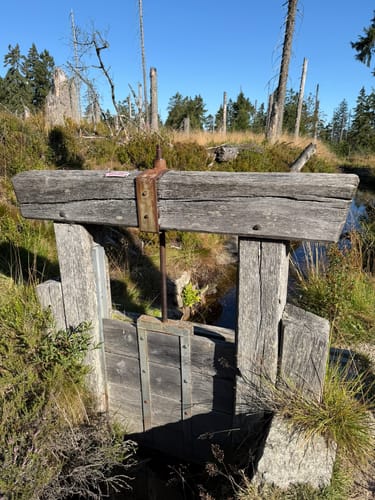 Rund um das Große Torfhausmoor