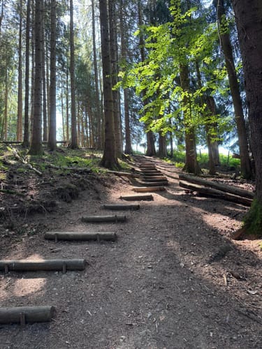 Laubenberg -Kapf -Eistobel Rundweg