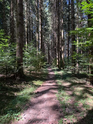 Laubenberg -Kapf -Eistobel Rundweg