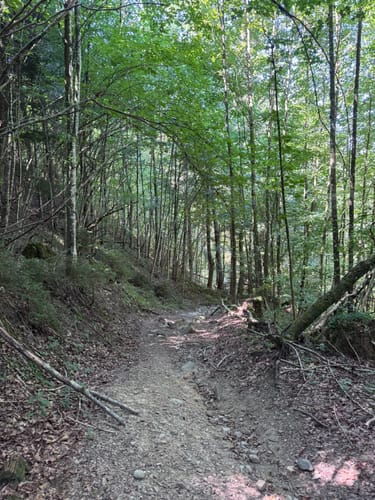 Laubenberg -Kapf -Eistobel Rundweg