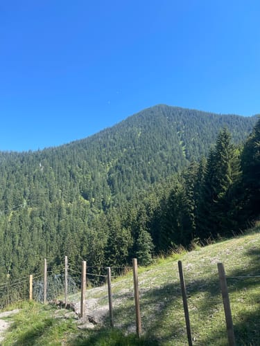 Wallberghaus und Setzberg
