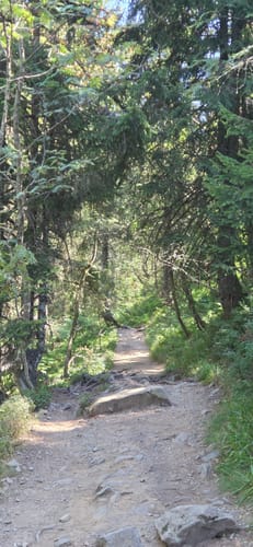 Feldbergsteig (Genießerpfad)