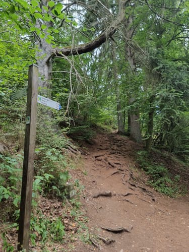 Rund um Gerolstein