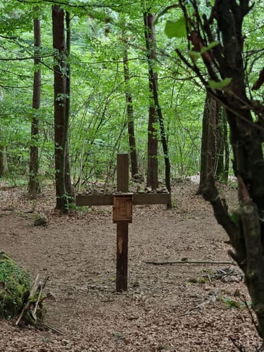 Rund um Gerolstein