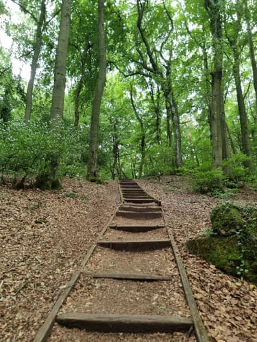 Rund um Gerolstein