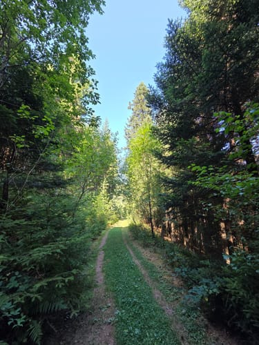 Schramberger Burgenpfad (Premiumwanderweg)