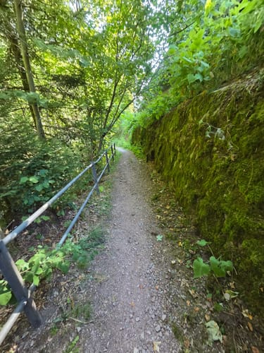 Schramberger Burgenpfad (Premiumwanderweg)