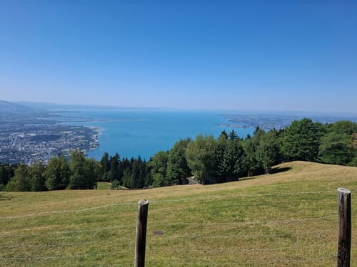 Sportliche Talwanderung: Pfänderbahn - über Gschliefweg - Bregenz