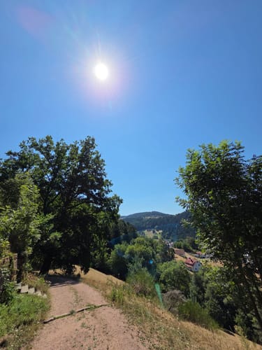 Schramberger Burgenpfad (Premiumwanderweg)