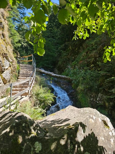 Allerheiligen-Wasserfall zum Schliffkopf Rundweg
