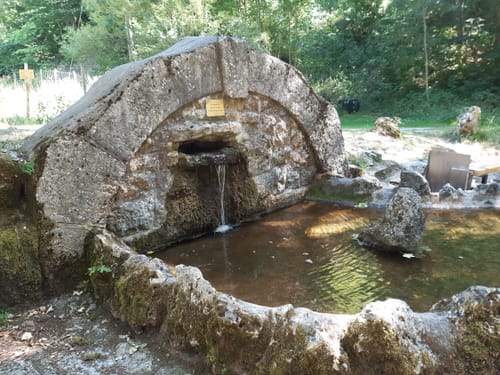 Alter Schäferweg (Donauwelle)
