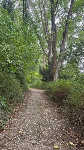 Rund um das Steinbachtal