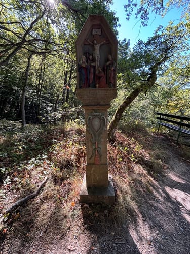 Bernkasteler Bärensteig (Moselsteig Seitensprung)