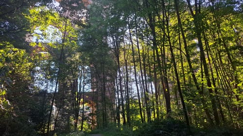 Wanderweg Reichenbach - Göltzschtalbrücke