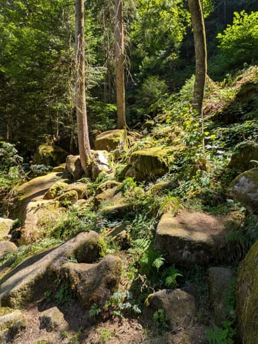 Wasserfälle - Hochseilgarten - Bergsee
