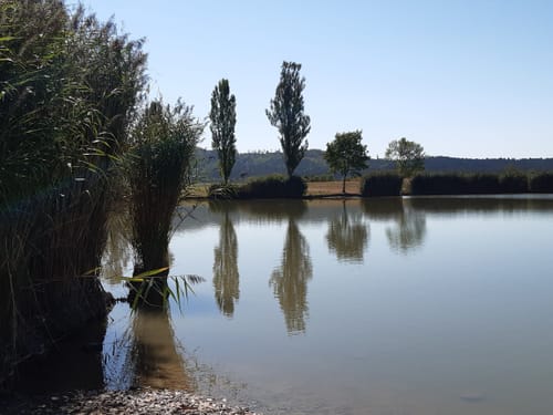 RP10 Vom Neckar ins Albvorland