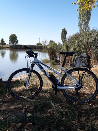 RP10 Vom Neckar ins Albvorland