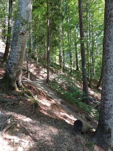 Hündlekopf und Buchenegger Wasserfälle