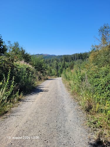 Rundwanderweg Granetalsperre