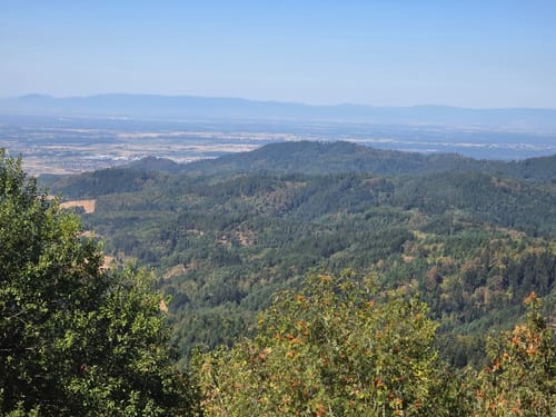 Durbach via Mooskopf