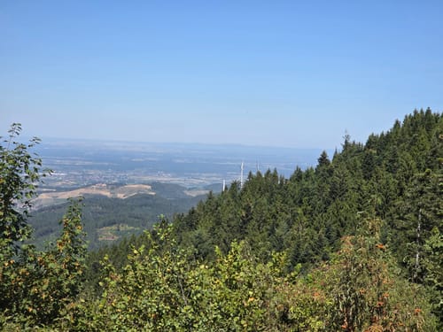 Durbach via Mooskopf