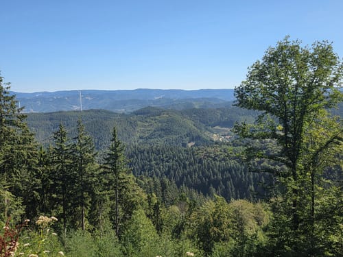 Durbach via Mooskopf