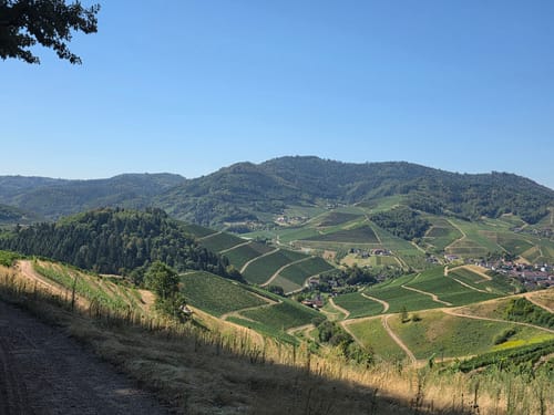 Durbach via Mooskopf