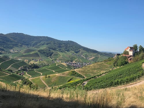 Durbach via Mooskopf