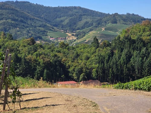 Durbach via Mooskopf