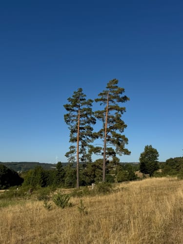 Meteorkrater-Rundwanderweg