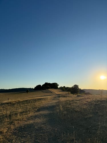 Meteorkrater-Rundwanderweg