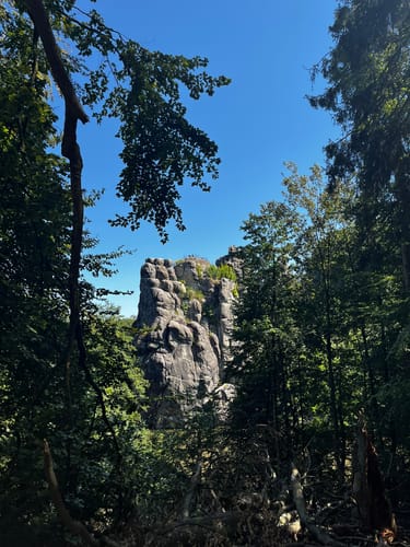 Blaubeerroute