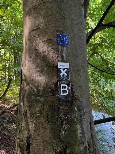 Blaubeerroute