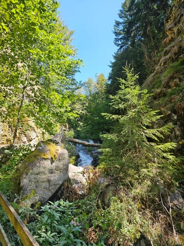 Allerheiligen-Wasserfall zum Schliffkopf Rundweg