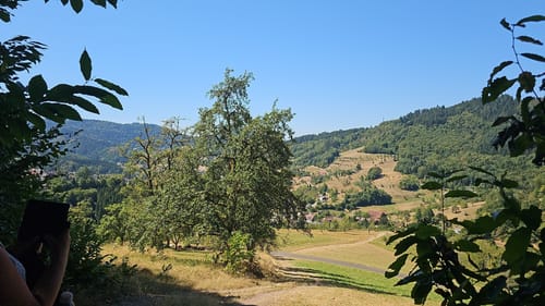 Karlsruher Grat (Genießerpfad)