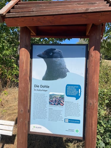 Vogellehrpfad Hilders