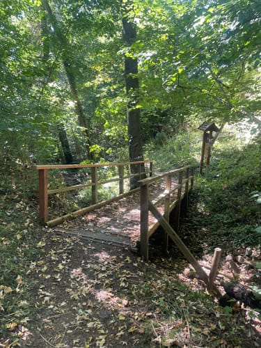 Vogellehrpfad Hilders