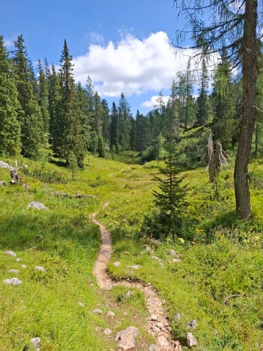Reiter Alm über Wachterlsteig