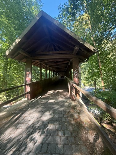 Kesselbruchweiher und Jacobiweiher ab Spielpark Tannenwald