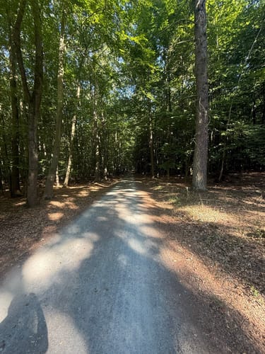 Kesselbruchweiher und Jacobiweiher ab Spielpark Tannenwald
