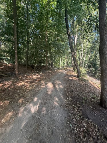 Kesselbruchweiher und Jacobiweiher ab Spielpark Tannenwald