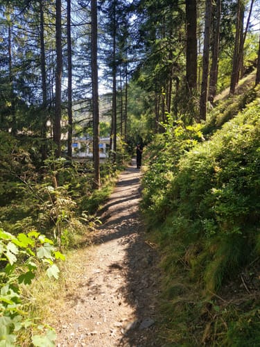 Okertal Rundweg