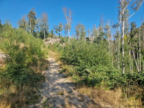 Okertal Rundweg