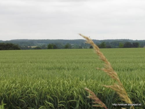 Wabe 49 Schöppingen